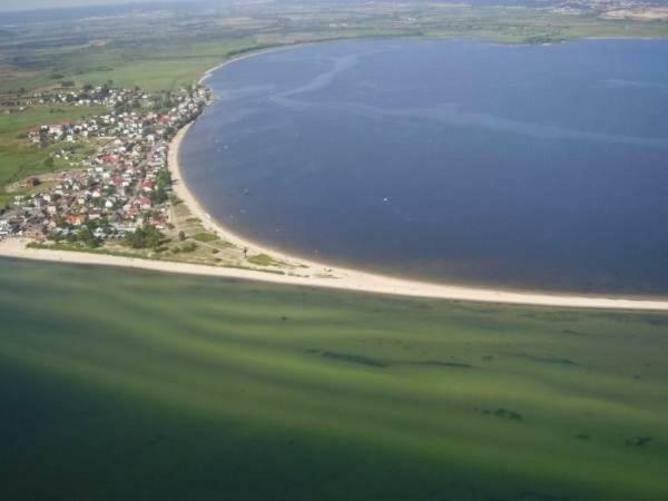 Nadmorskie *
